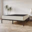 Tawnya 8'' Wood Box Spring with Warm Grey Linen Cover-1339288554