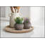 Ensemble de 2 plantes succulentes artificielles en pots de ciment brun, 20 cm de hauteur, parfaites pour une décoration moderne et contemporaine.