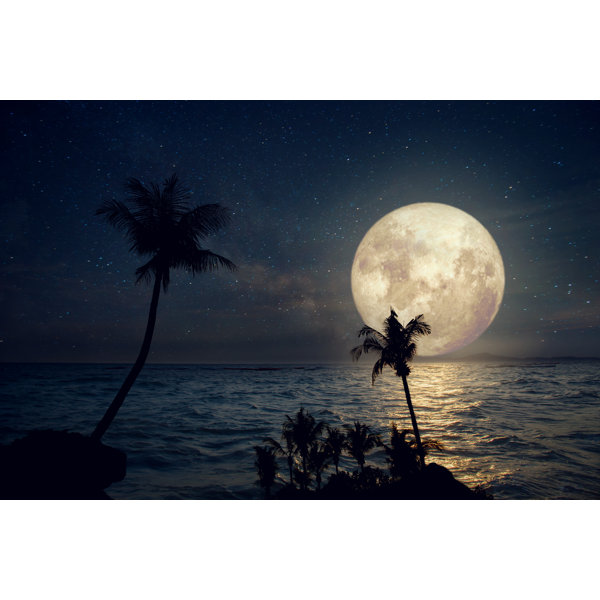 Highland Dunes Fullmoon and Beach - Wrapped Canvas Photograph | Wayfair