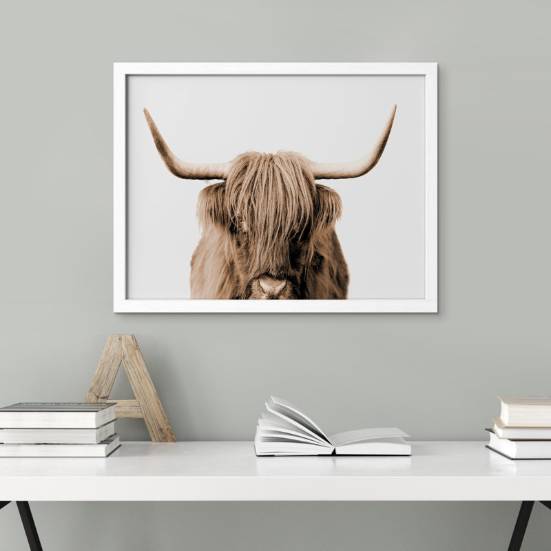 "Portrait de vache Shetland brune et blanche à deux tons" sur papier, Blanc, H 11 po x l 14 po
