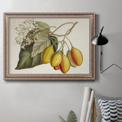 " Tropical Foliage & Fruit IV "