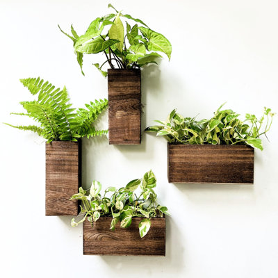 Dakota Fields Wood Planter Box For Plants (4 Pack) Wooden Hanging Wall  Planters For Indoor Plant Holder Vase For Dried Flowers | Wayfair