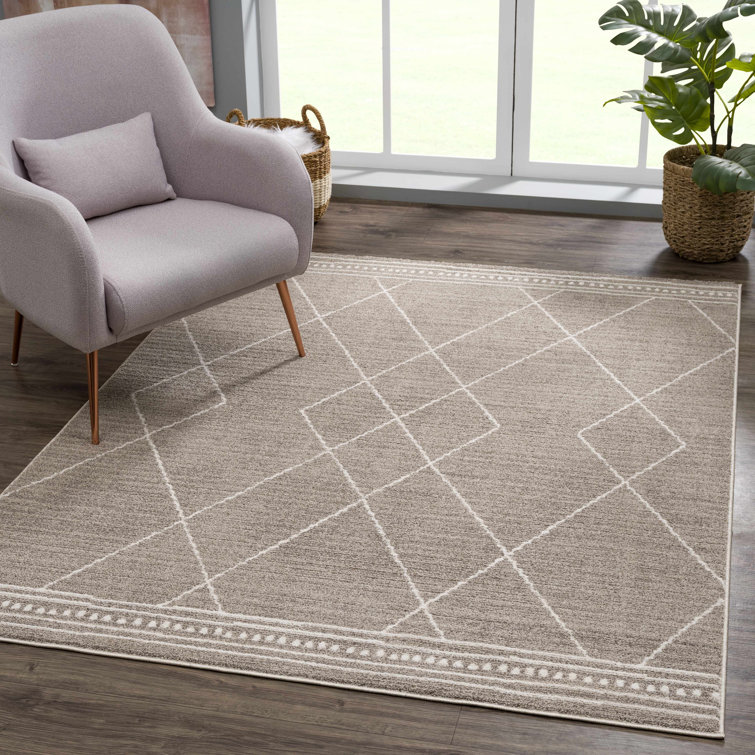 https://assets.wfcdn.com/im/29124876/resize-h755-w755%5Ecompr-r85/2188/218847618/Buckhanon+Performance+Gray+Rug.jpg