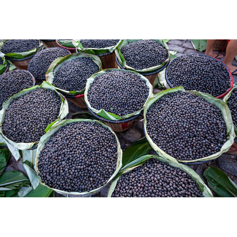 Fresh Acai Berries - Wrapped Canvas Print, 81cm H x 122cm W x 3.8cm D