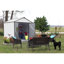 Remise de rangement en métal l 8 pi. x p 7 pi. EZEE-22860046