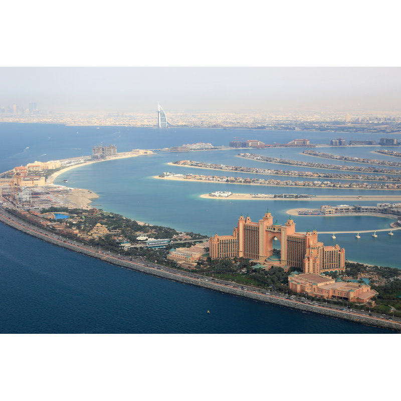 Atlantis, the Palm 1 Piece Wrapped Canvas Wall Art, 20cm H x 30cm W x 3.8cm D