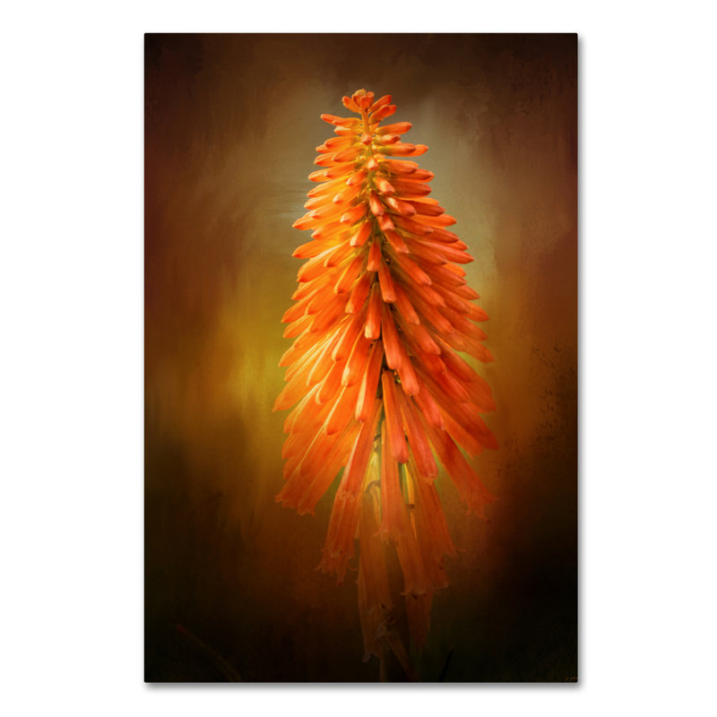 «Orange Blast in the Garden» par Vidur, impression sur toile tendue, H 19 po x l 12 po
