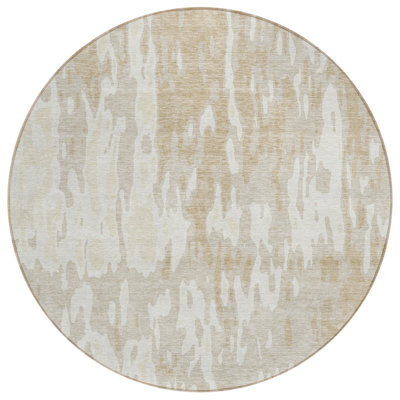  Chayden Area Rug with Non-Slip Backing