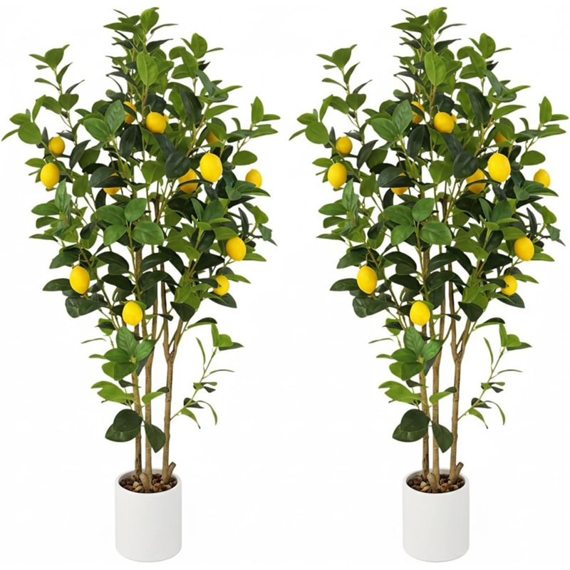 120cm Plant, White
