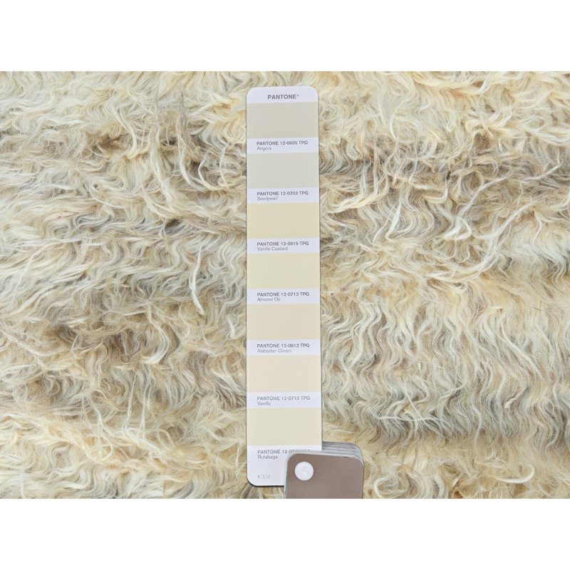 Tapis de couloir nouvel âge en laine 2 pi 6 po x 8 pi Jonthoma Ivoire