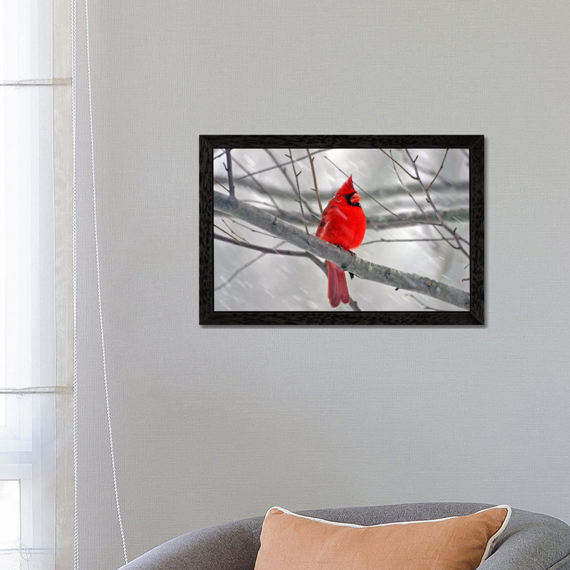 Cardinal Bird - Floater Frame Print on Canvas, 66.04cm H x 101.6cm W, Black