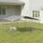 Spacious Full-Coverage Outdoor Dog Run