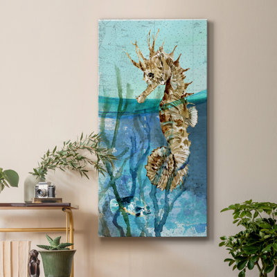 " Pacific Seahorse "