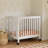 Origami Mini Portable Crib-11972655