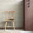  Michaelmas Daisy Pink Cedar Wallpaper