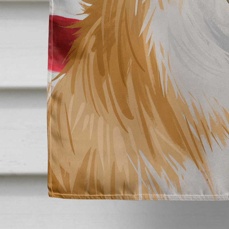 Polyester à 2 côtés 28 x 40 po drapeau maison, Welsh Corgi Pembroke