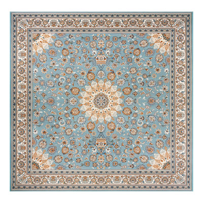 Indoor/Outdoor Traditional Area Rug
