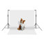 Support de fond réglable Support de fond réglable Photo Studio