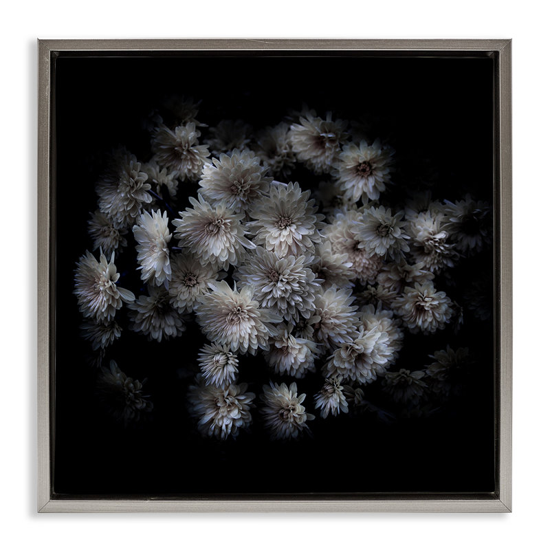  Mum Bundle on Framed Floater Canvas Wall Art by Brian Carson, Cadre flottant gris lustré, H 18 po x l 18 po