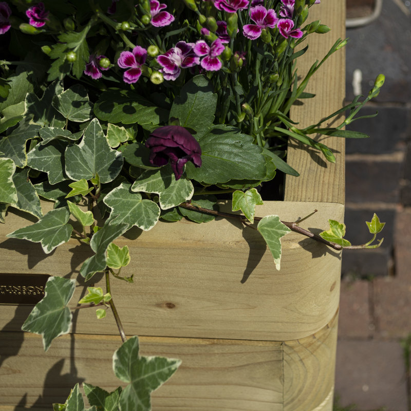Rowlinson Marberry Tall Planter