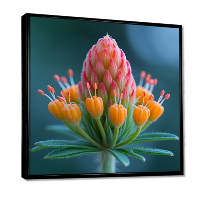 Macro de floraison dans la nature - impression d'art mural fleurs