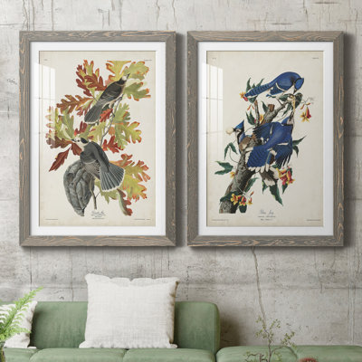 " Pl 107 Canada Jay " 2 - Pieces