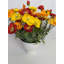 Arrangement de coquelicots