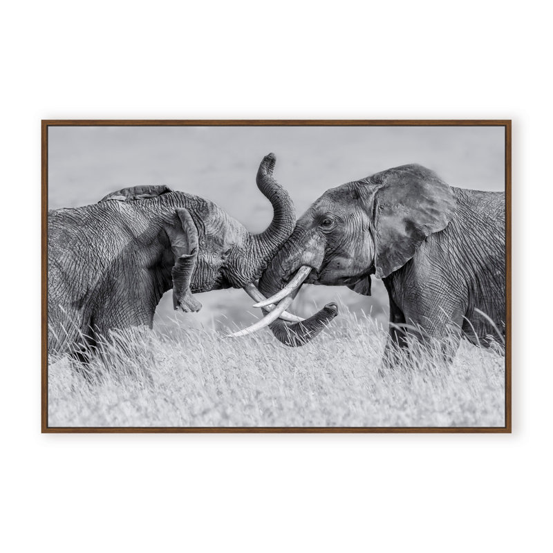 Nature Inspired Elephant Tai Chi by  - Picture Frame Photograph on Paper, 24" H x 36" W x 1.125" D, Black