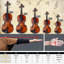 Ensemble de violon acoustique 4/4 avec étui, archet et colophane - ensemble de violon naturel pour apprenants adultes et amateurs, avec corps en tilleul, raccords en bois noirci et étui souple