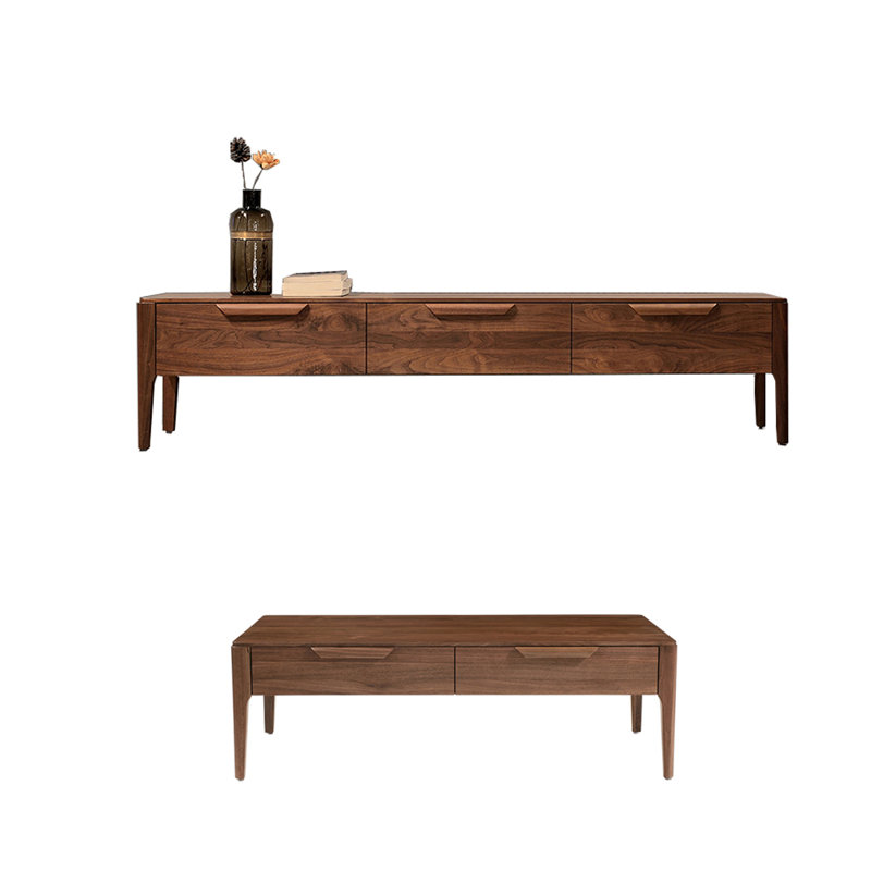 Combinaison simple de meuble télé et de table basse
