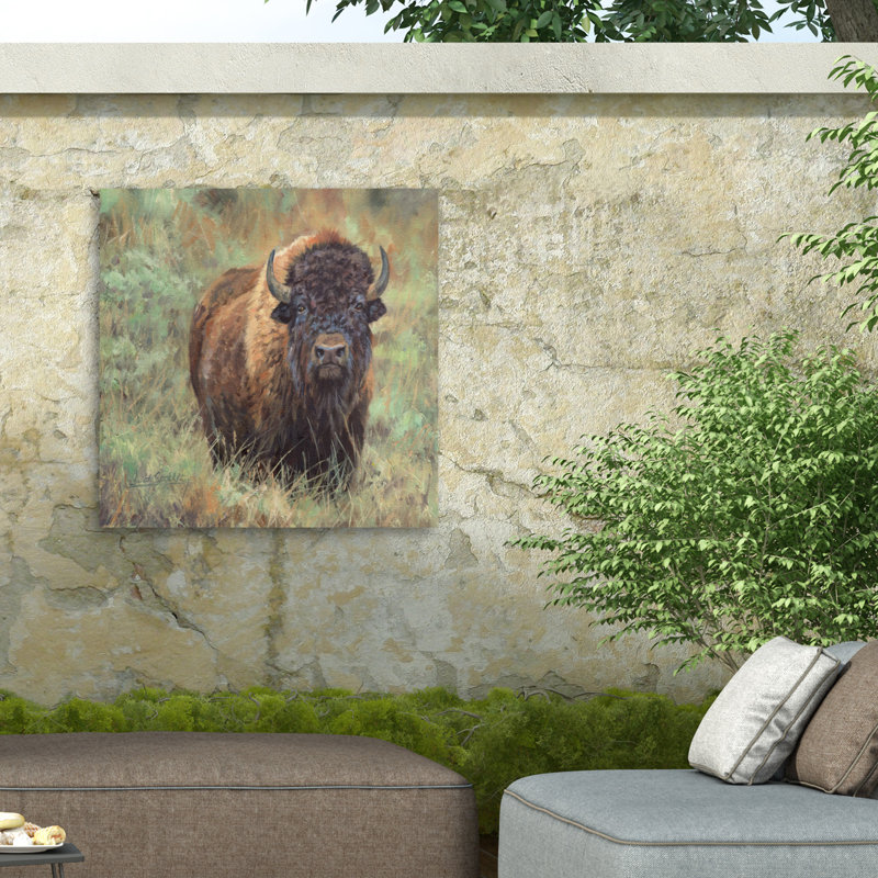 Toile d'extérieur David Stribble Bison, H 14 po x l 14 po