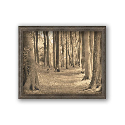 In the Wizard's Woods by Hal Halli. Paper Print - Mounted & Framed