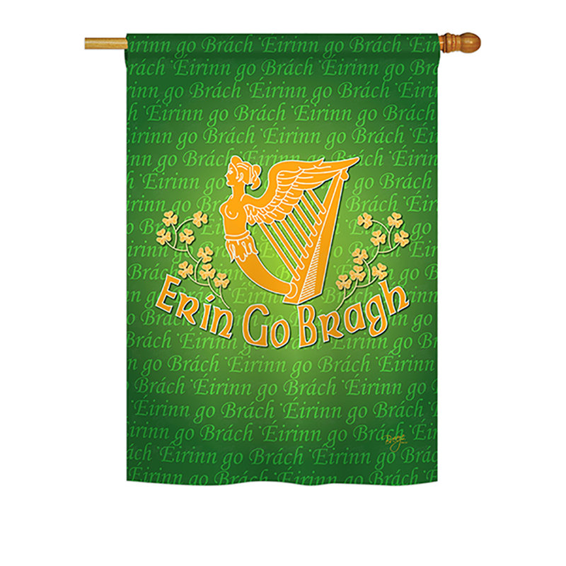 Ensemble de 2 faces 40 x 28 po bragh spring go st. patrick ensemble de drapeau