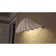 Shell Wall Sconce