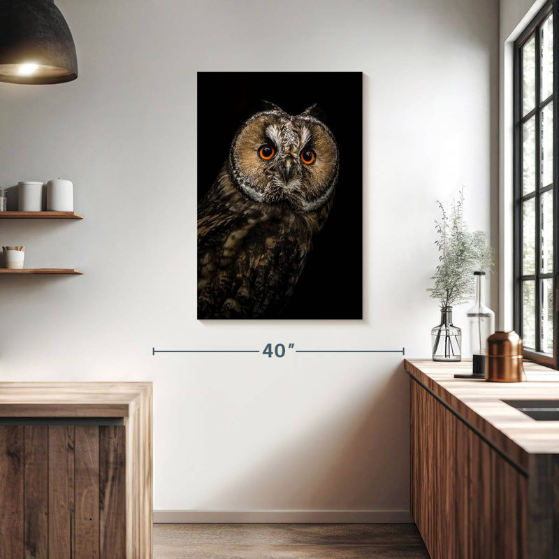 Brampt Eurasian Owl, 39" H x 26" W