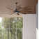 Leavitt 70'' Ceiling Fan with LED Lights
