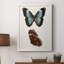 " Antique Blue Butterflies IV "-88378672-88378673