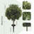 Artificial Cypress Trees