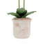 POT À 2 TIGES FLORAL-584446388