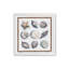 «Beach Shells II» par Elizabeth Tyndall, reproduction d'art-325809397-325809404-325809398