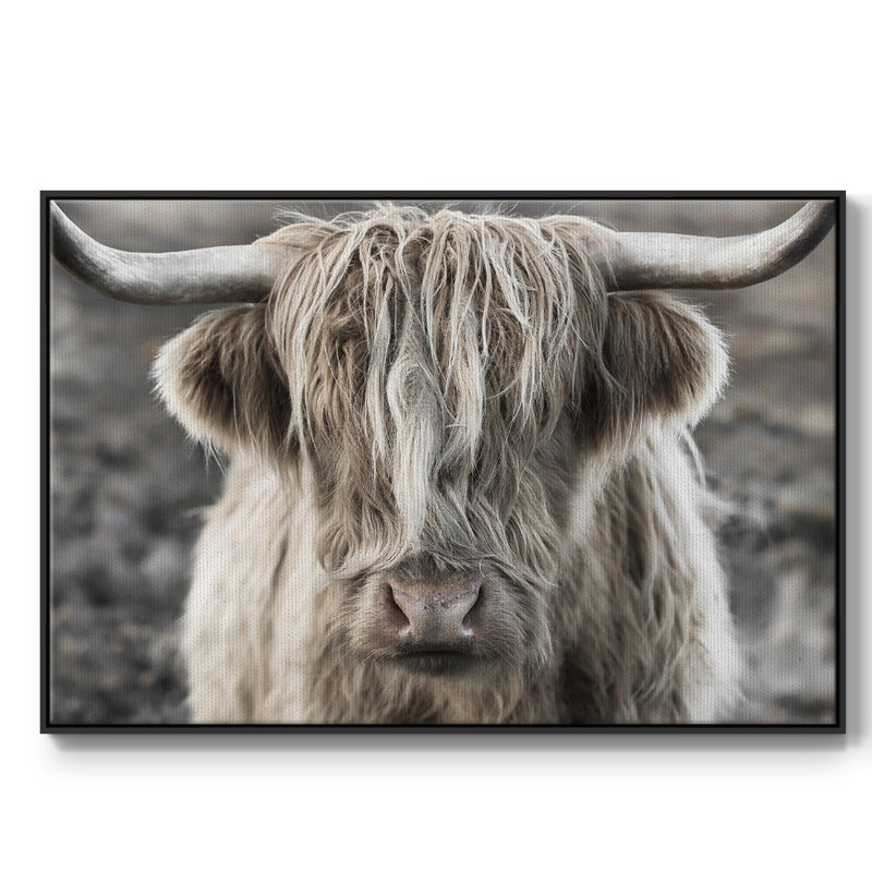 " Highland Skye ", 17" H x 25" W x 2" D, Black Framed