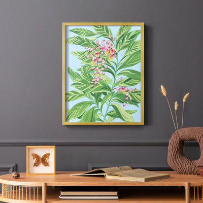 Tropical Shell Ginger II Framed Print - Solid Wood