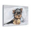 No Frame Print on Canvas-895868886