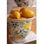 ENSEMBLE DE DEUX PITCHER ET VAS EN CIMENT - LEMONS