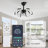 19 in. Dimmable Ceiling Fan with LED Lights and Remote