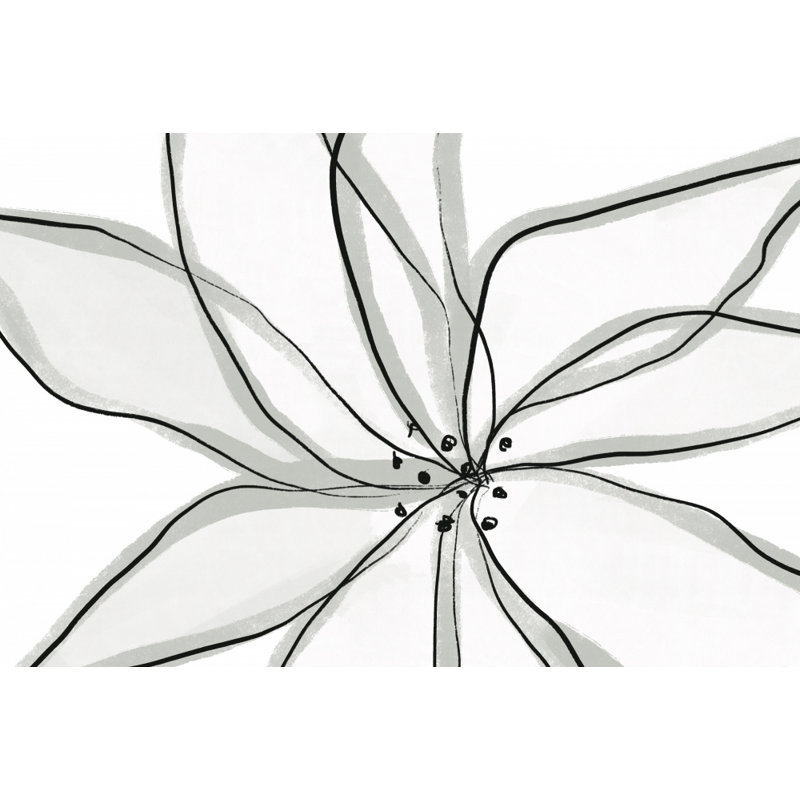 Wrapped Canvas Print, 50.8 cm H x 76.2 cm W
