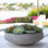 Plante succulent artificielle 2,00" en vase décoratif