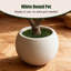 Olive artificielle avec fruit en pot de fleurs blanc, arbre topiaire en pot pour la maison et le bureau, 5/6/7/8 pieds-1400002817