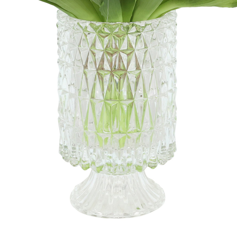 Tulips Arranged in Glass Vase