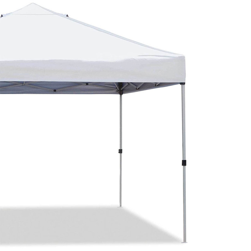 Auvent Z-Shade 10 par 10 pieds Alta